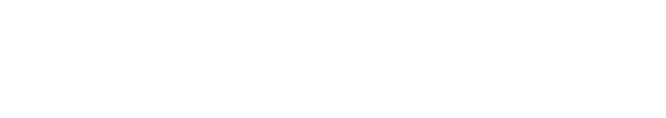 WEBLEY HUB LOGO FULL WHITE